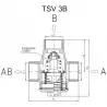 Zawór mieszający trójdrogowy 25mm (1 cal) REGULUS TSV3B