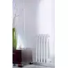 Central heating radiator VIADRUS