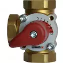 Mixing valves from WOMIX