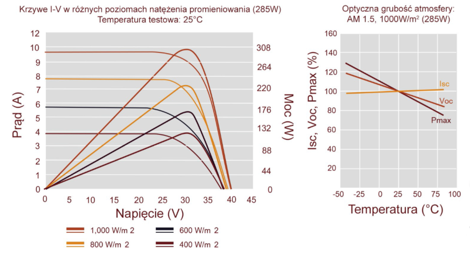 Charakterystyka Boviet Charakterystyka Boviet